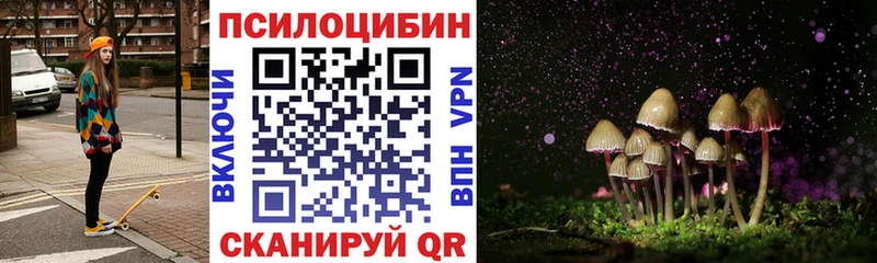 Купить где  Кремёнки  Псилоцибиновые грибы ЛСД 